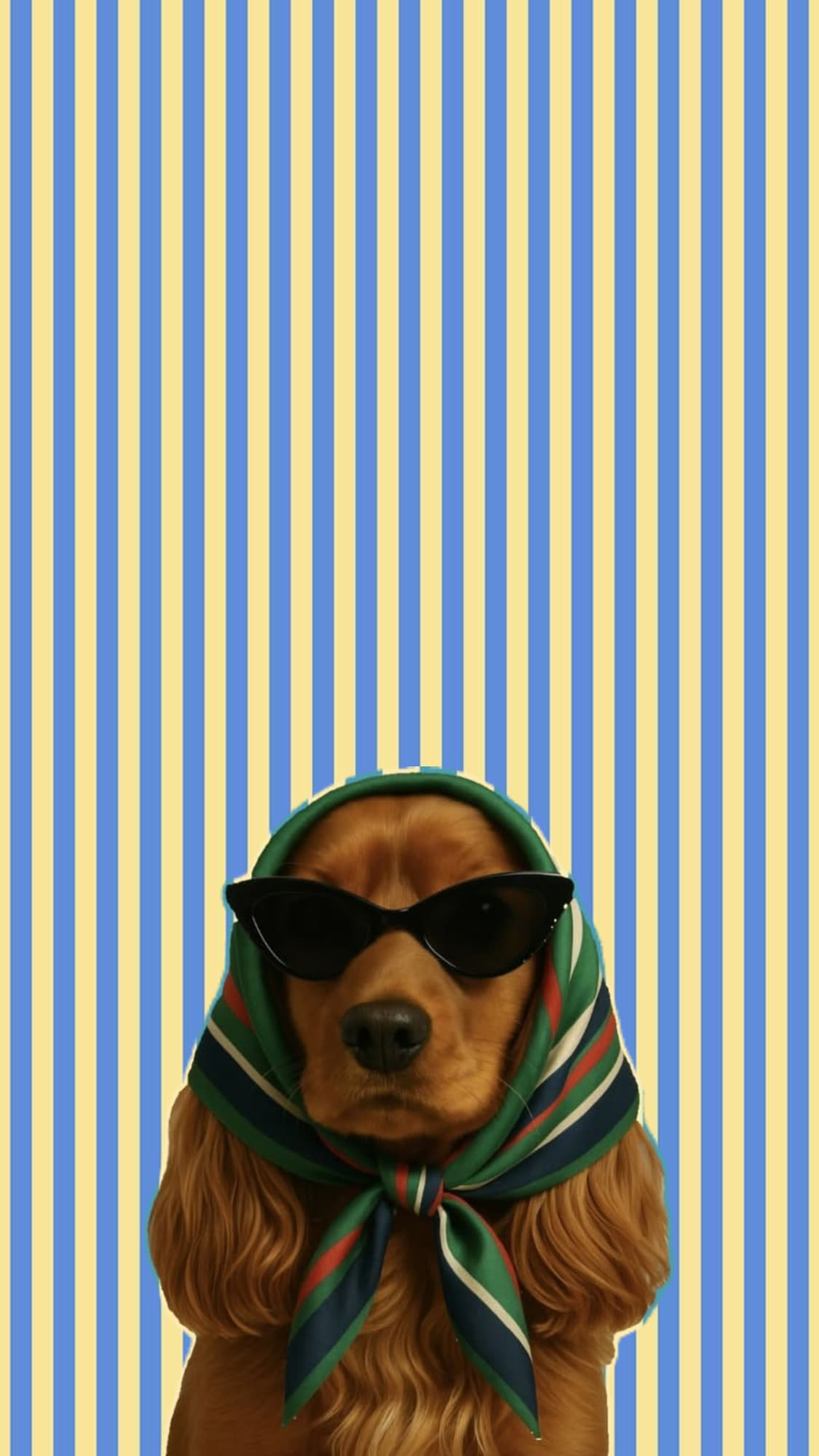 A rescued dog wearing a striped headscarf and cat-eye sunglasses