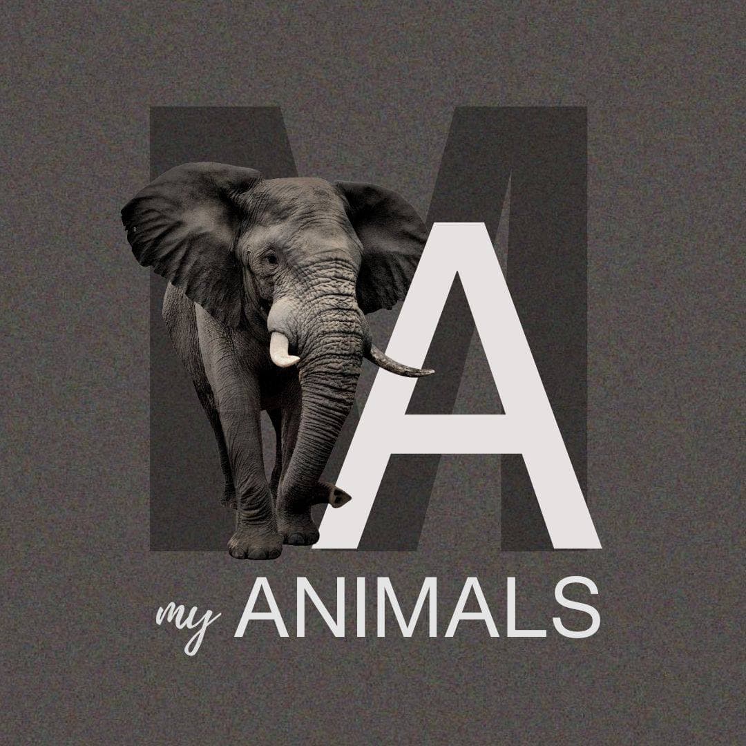 My Animals — RKM Foundation CSR pillar